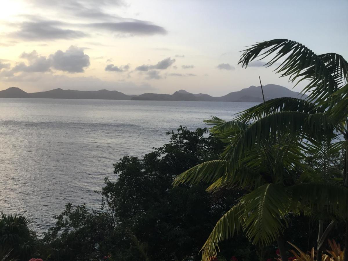 Beautiful 3 Story 8,000 Sq Ft Oceanside Mansion Villa Nevis Exterior photo